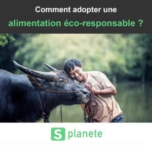 adopter une alimentation eco-responsable