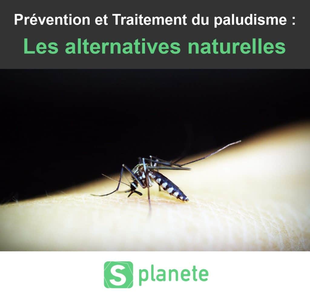 prévention et traitement naturels du paludisme