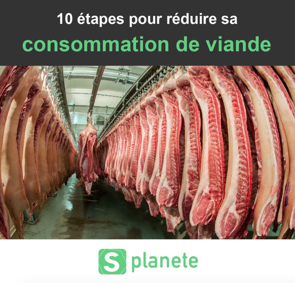réduire sa consommation de viande