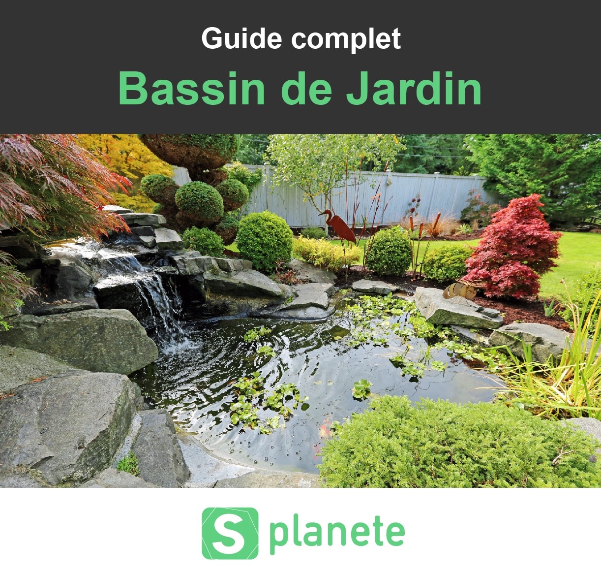 Petit bassin d'ornement  Bassin de jardin préformé, Petit bassin de  jardin, Bassin de jardin