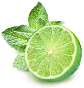 Lime And Mint On A White Background.
