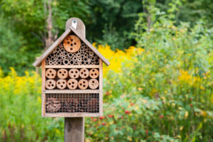 insect hotel in the city park